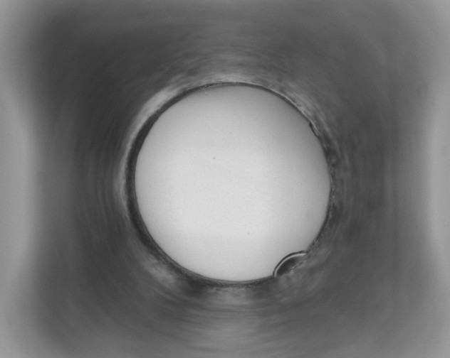 X0000110880104200907091429