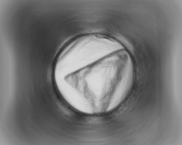 X0000110880107200907091429