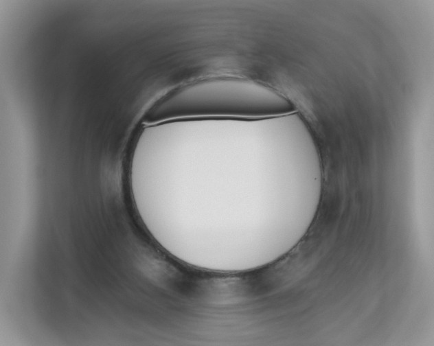 X0000110880108200907091429