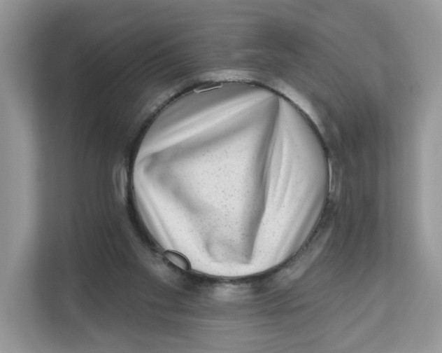 X0000110880109200907091429