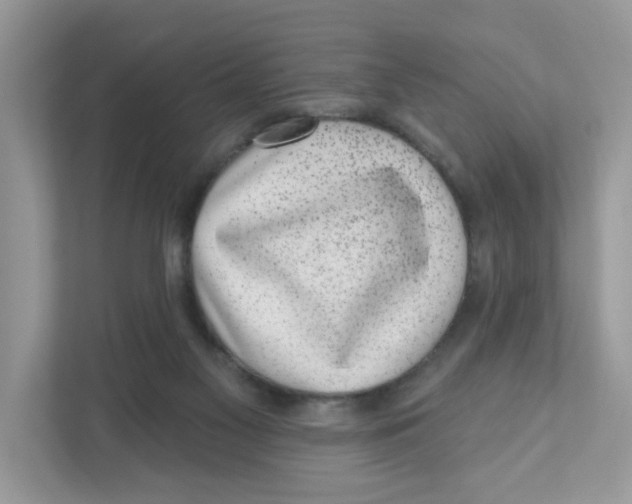 X0000110880117200907091429