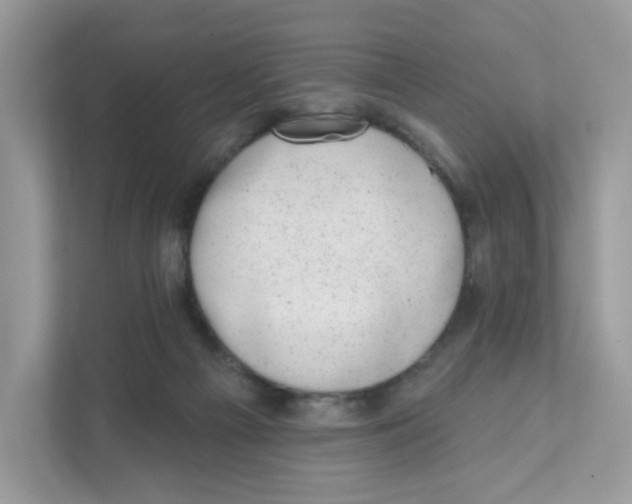 X0000110880121200907091429