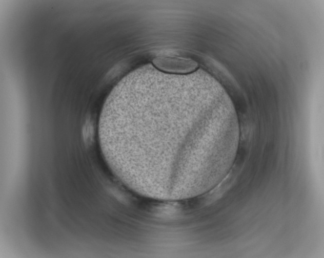 X0000110880124200907091429