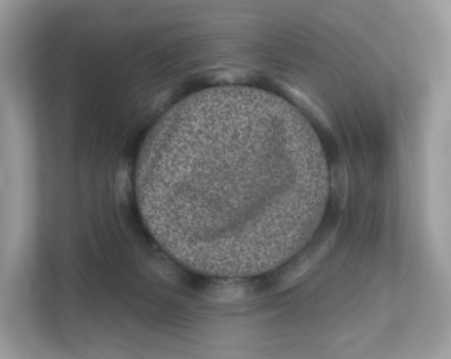 X0000110880127200907091429