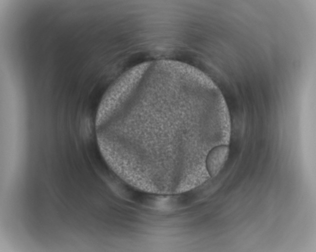 X0000110880130200907091429