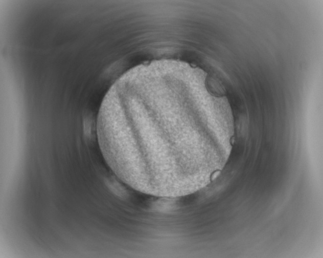 X0000110880138200907091429