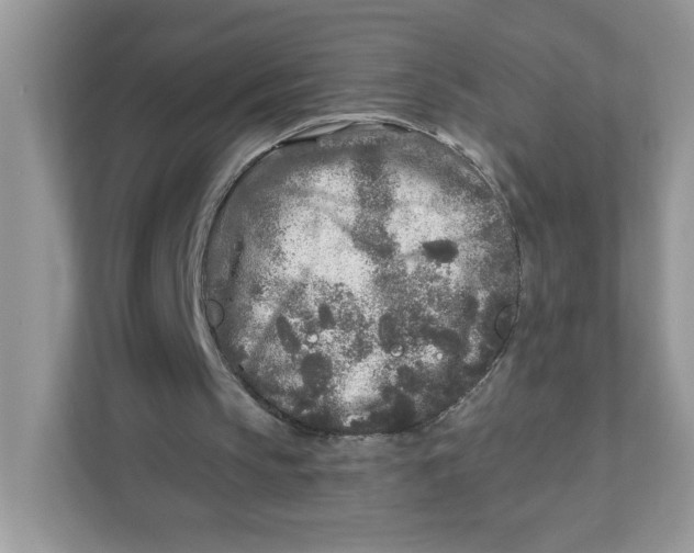 X0000110880145200907091428