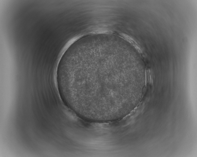 X0000110880147200907091428