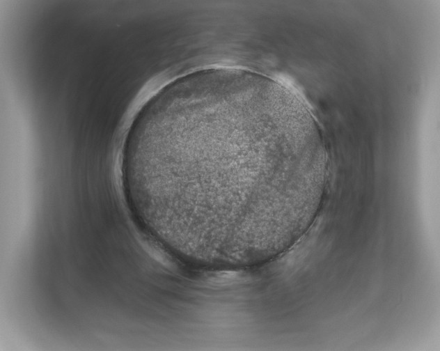 X0000110880151200907091428