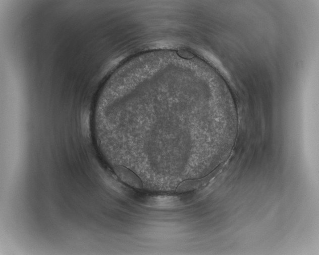 X0000110880154200907091428