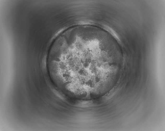 X0000110880155200907091428