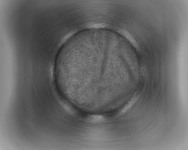 X0000110880159200907091428