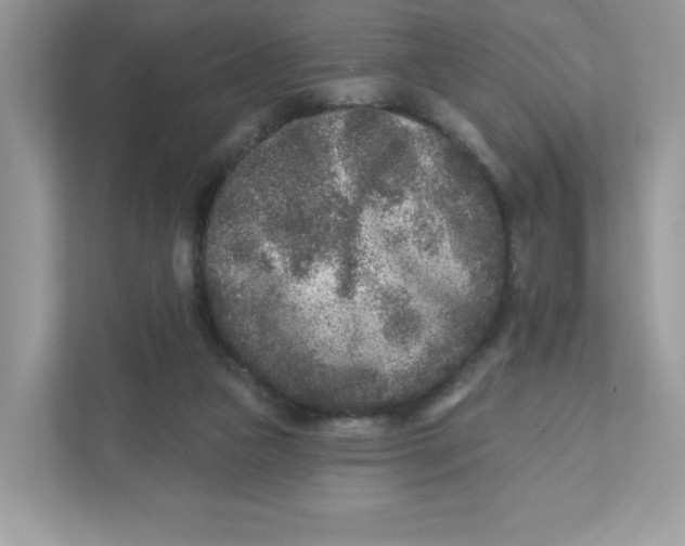 X0000110880161200907091428