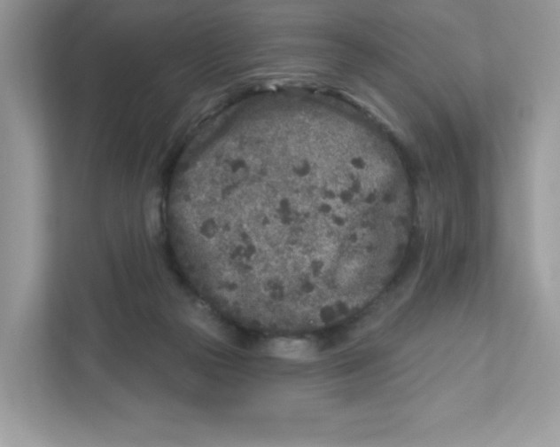 X0000110880169200907091428