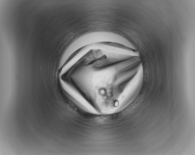 X0000110880172200907091429