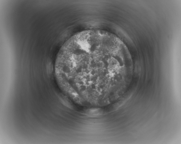 X0000110880173200907091429