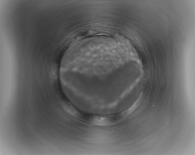 X0000110880174200907091429