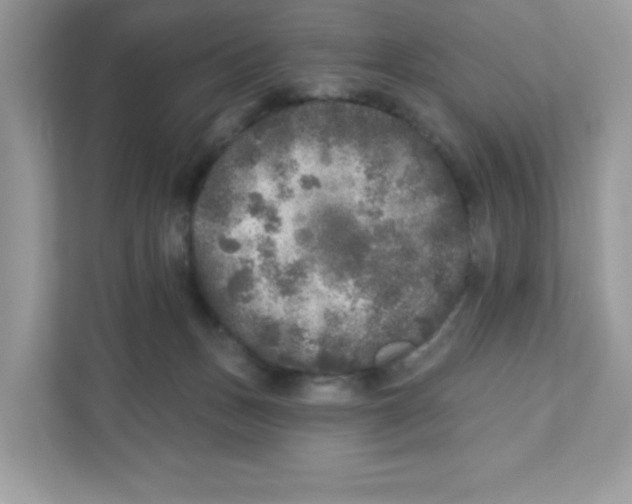 X0000110880175200907091429