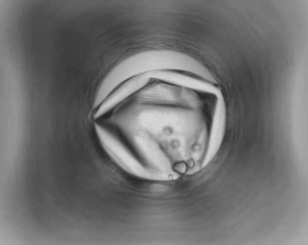 X0000110880176200907091429