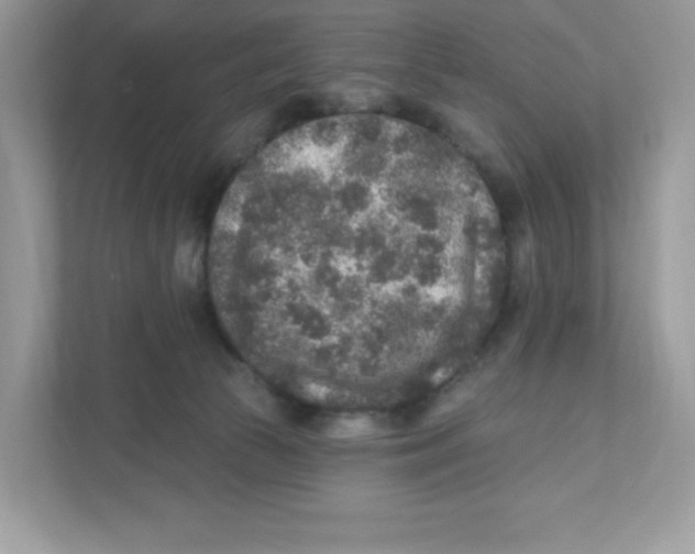 X0000110880177200907091429