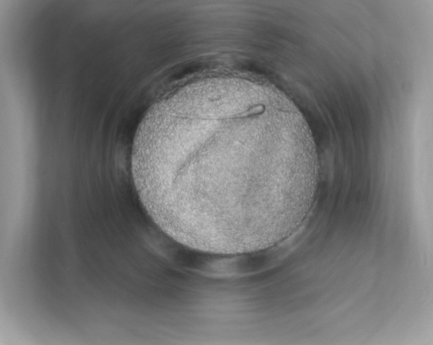 X0000110880178200907091429