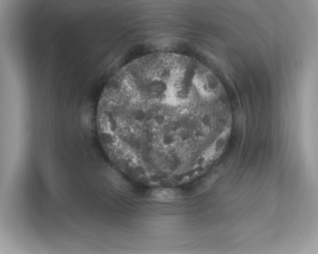 X0000110880181200907091429