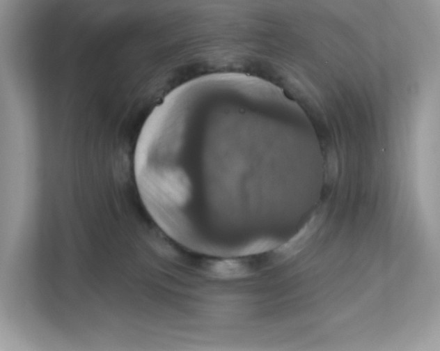 X0000110880183200907091429