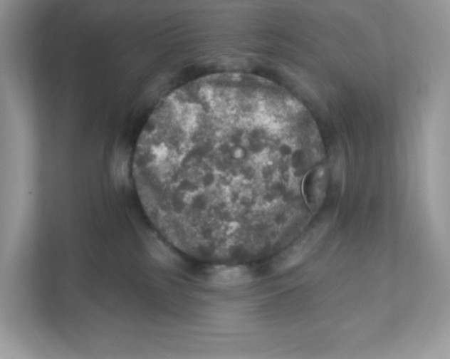 X0000110880185200907091429