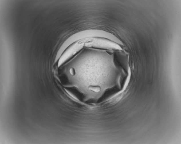 X0000110880188200907091429