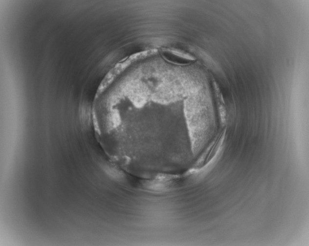 X0000110880191200907091429