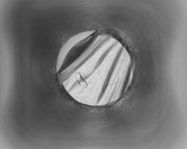 X0000110880192200907091429