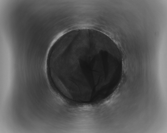 X0000110880196200907091428