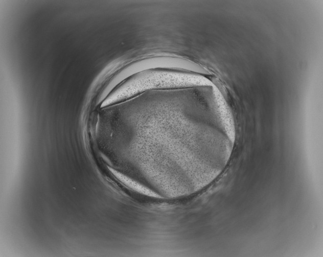 X0000110880197200907091428