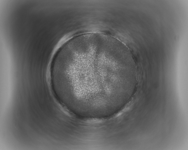 X0000110880198200907091428