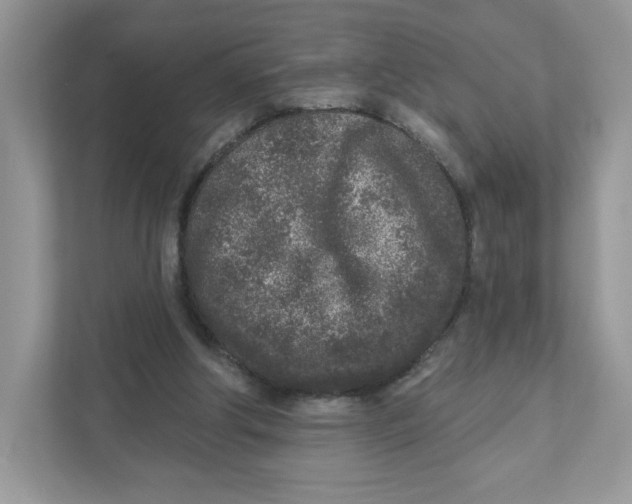 X0000110880202200907091428