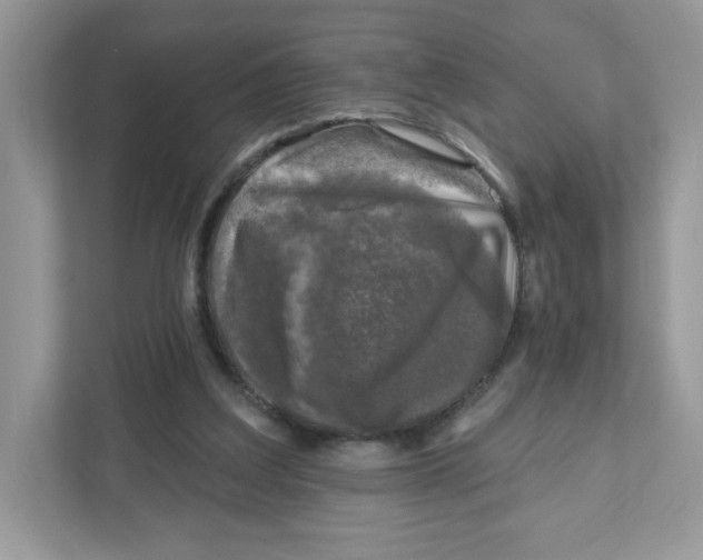 X0000110880203200907091428