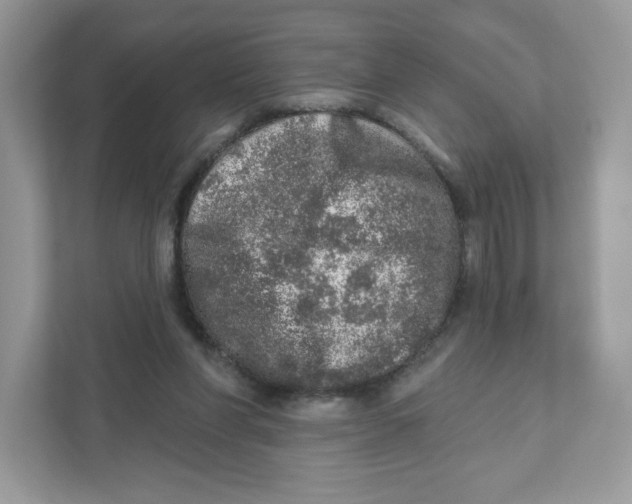 X0000110880206200907091428