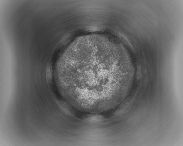 X0000110880210200907091428