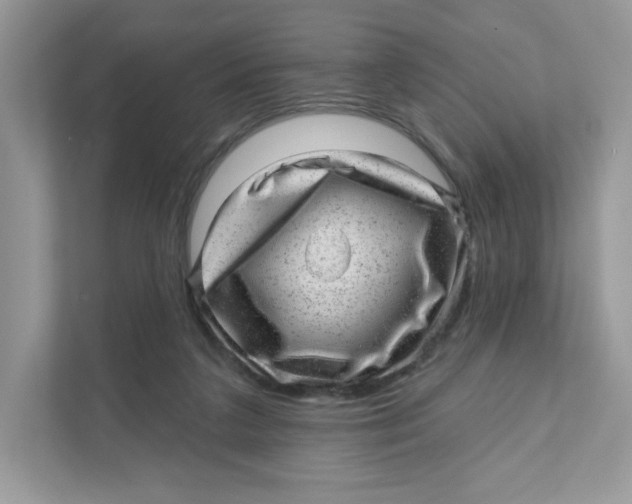 X0000110880211200907091428