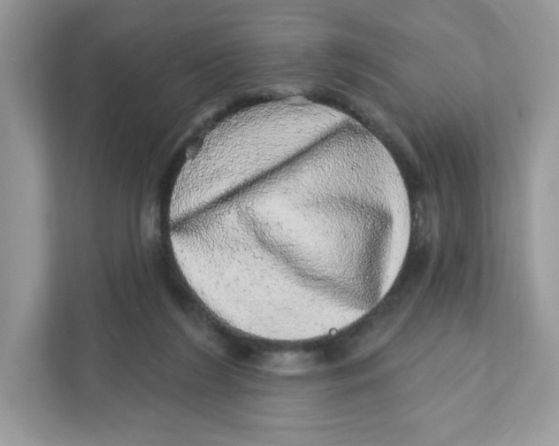 X0000110880212200907091428