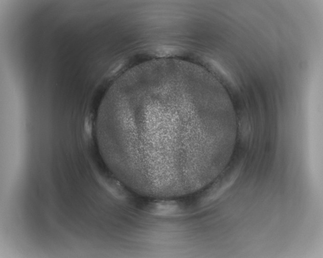 X0000110880214200907091428