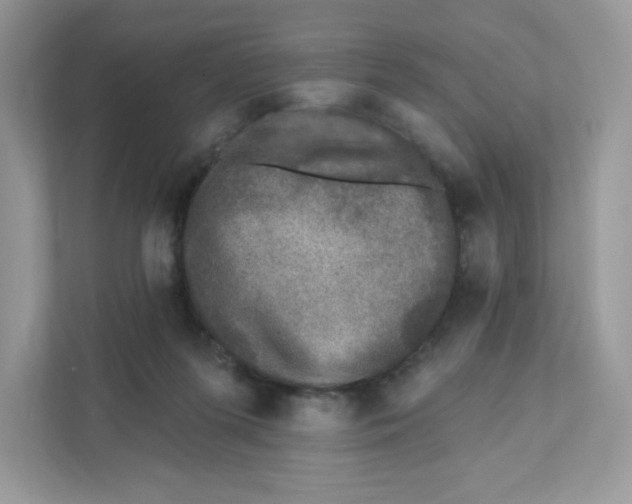 X0000110880215200907091428