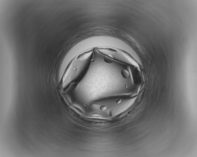 X0000110880217200907091428