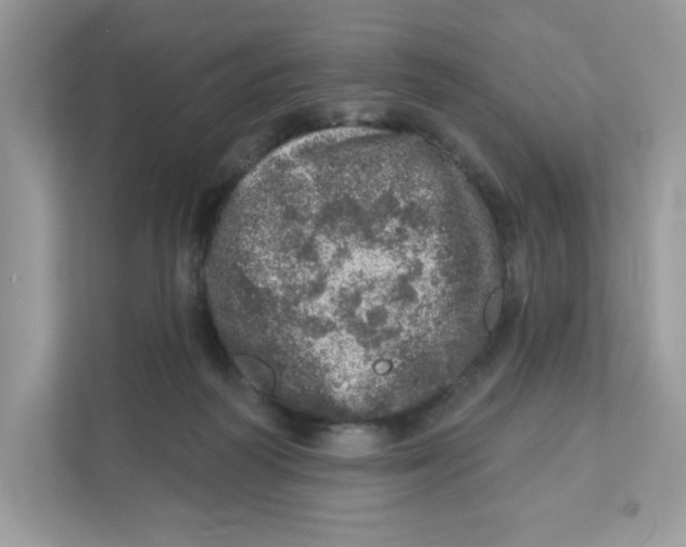 X0000110880218200907091428