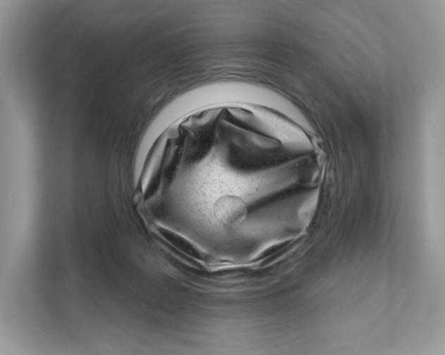 X0000110880219200907091428