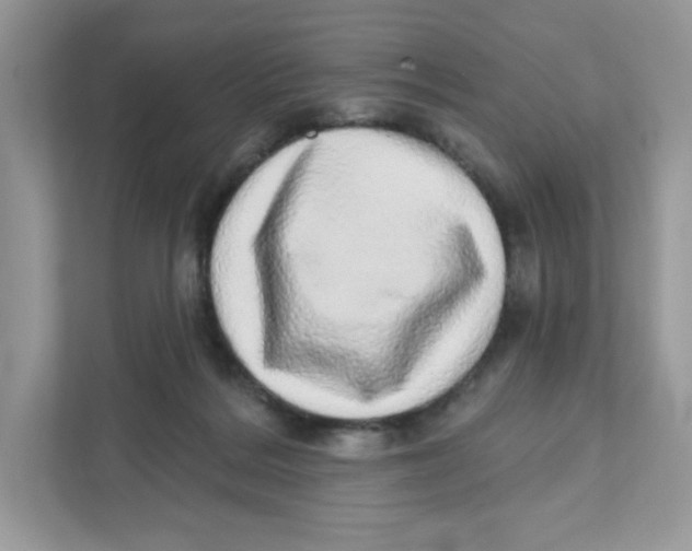 X0000110880220200907091428