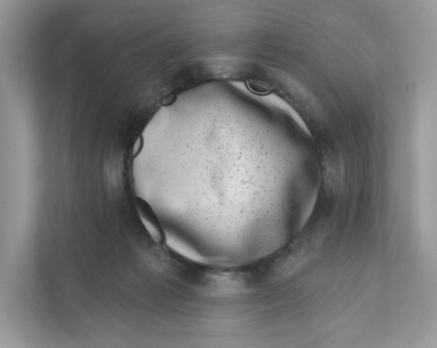 X0000110880221200907091428