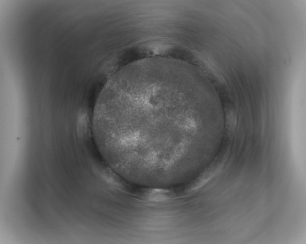 X0000110880222200907091428