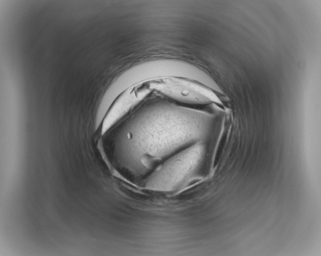 X0000110880223200907091428