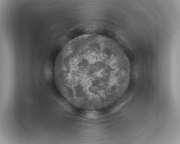 X0000110880226200907091428